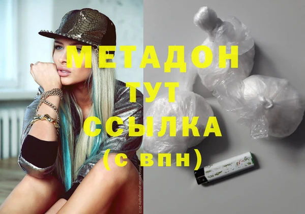 гашик Алексин