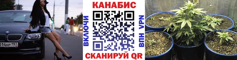 Конопля Amnesia  Мамоново 